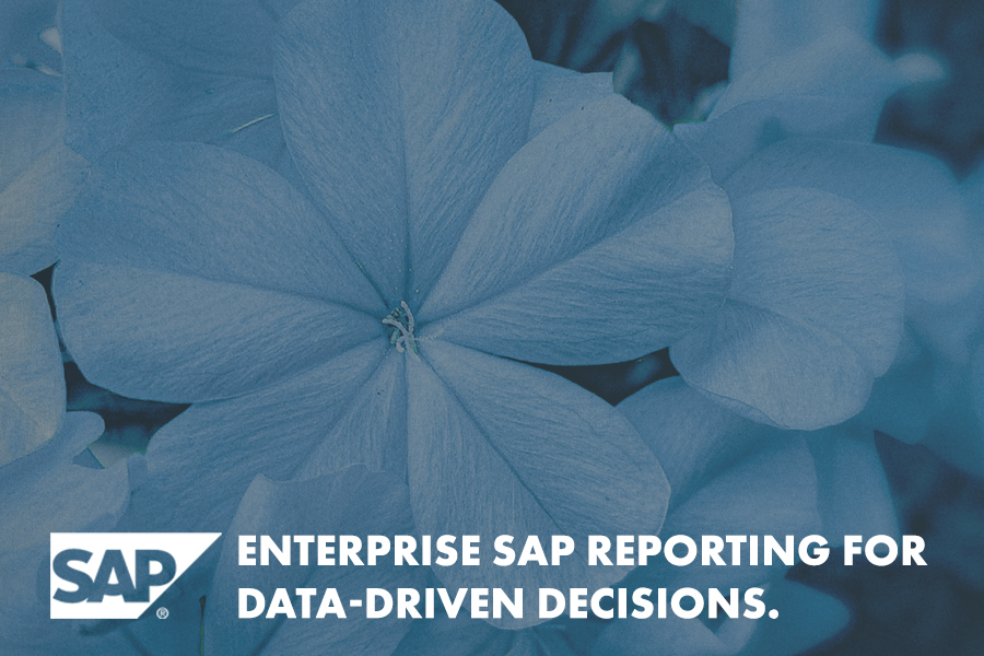 Informatec SAP Beratung SAP Reporting