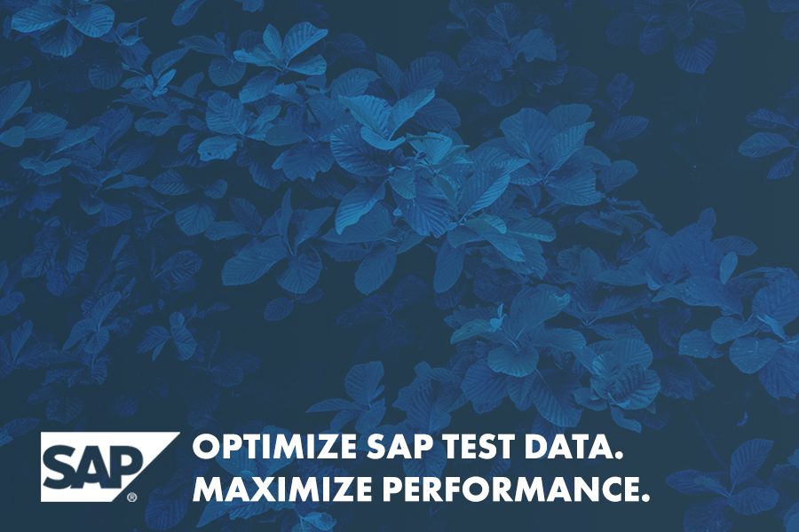 SAP Test Data Management Beratung
