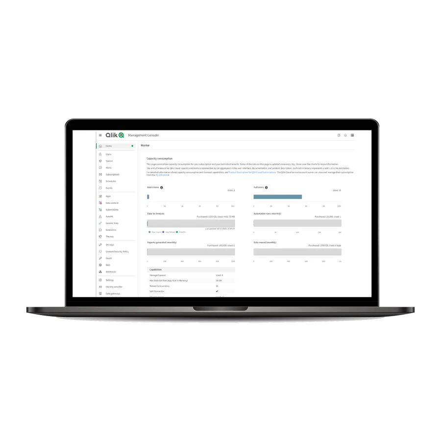 Qlik Sense Analyzer Capacity