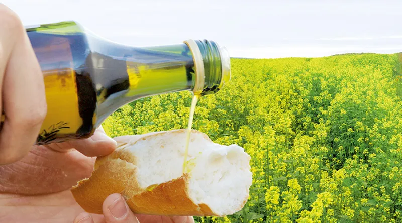 Florin AG