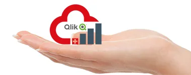 Qlik Managed Services Provider