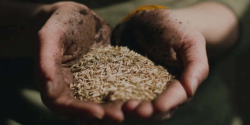 Success Story - Hortima AG