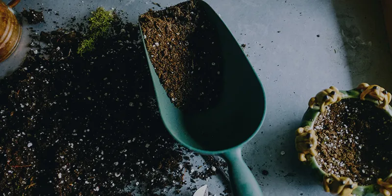 Success Story - Hortima AG