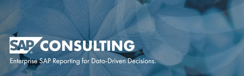 Informatec SAP Consulting - SAP Reporting