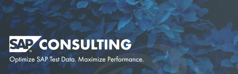 SAP Test Data Management Optimierung 