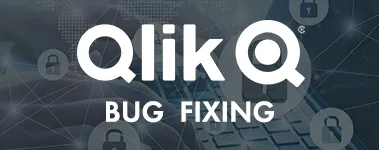 Qlik Sense Bug Fixing