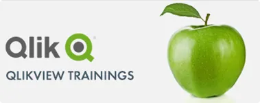 QlikView Trainings
