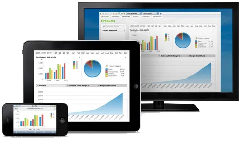QlikView - Präzise Antworten auf wichtige Fragen