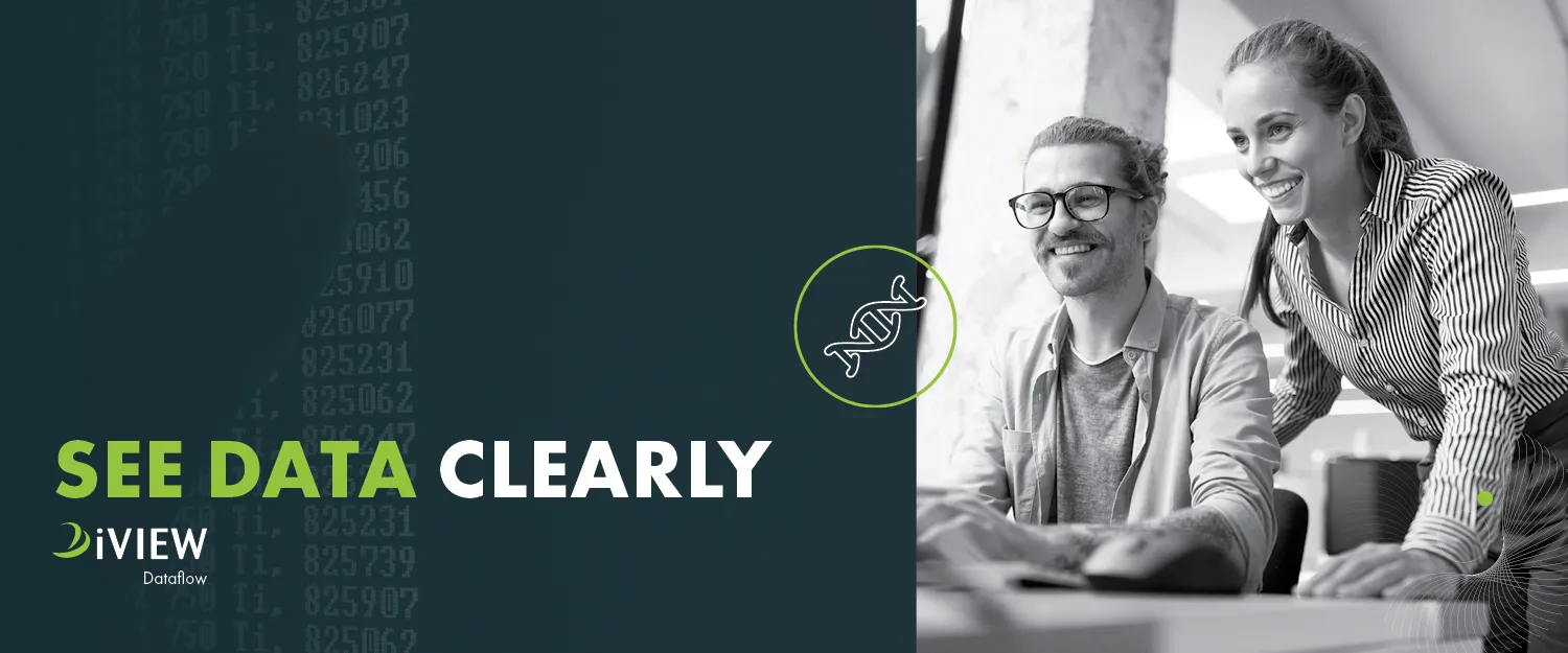iVIEW Dataflow Trainings