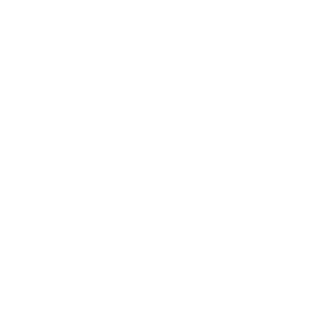 SAP Data-Warehousing