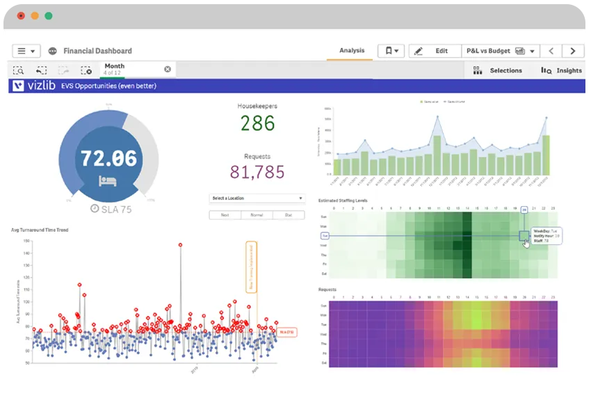 Vizlib screenshot Informatec